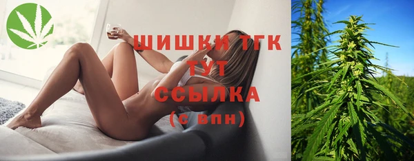 дурь Алексин