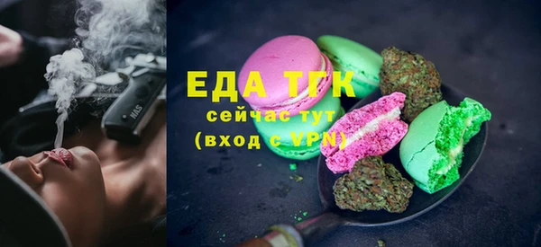 гидра Абаза