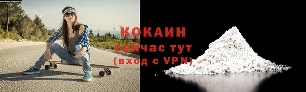 индика Абинск