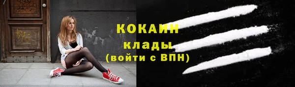 гидра Абаза