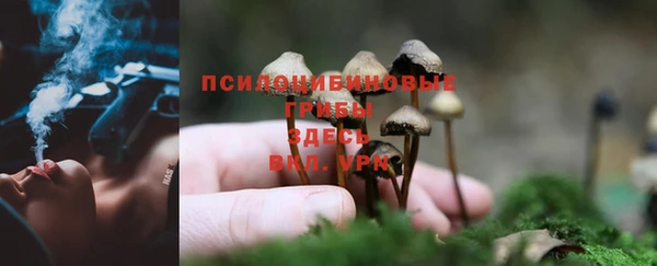 гидра Абаза