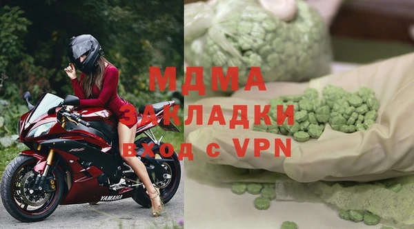 индика Абинск