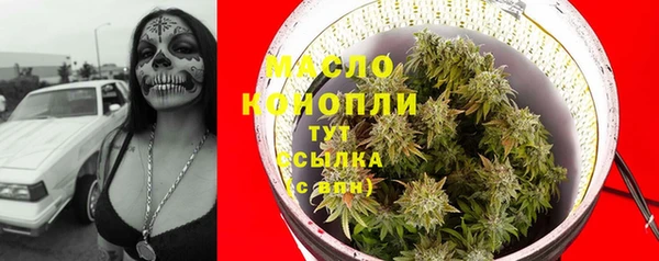 индика Абинск