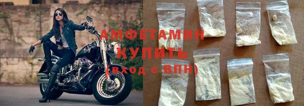 индика Абинск