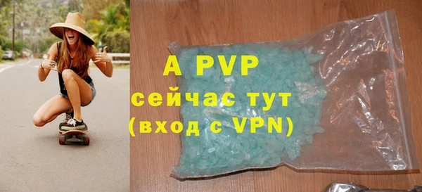 гидра Абаза