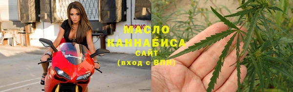 гидра Абаза