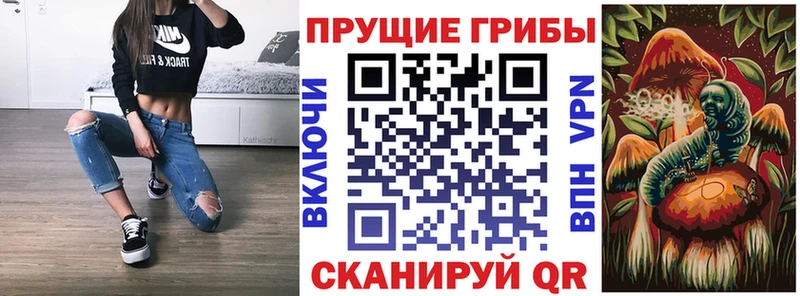 Псилоцибиновые грибы мицелий  Тюкалинск 